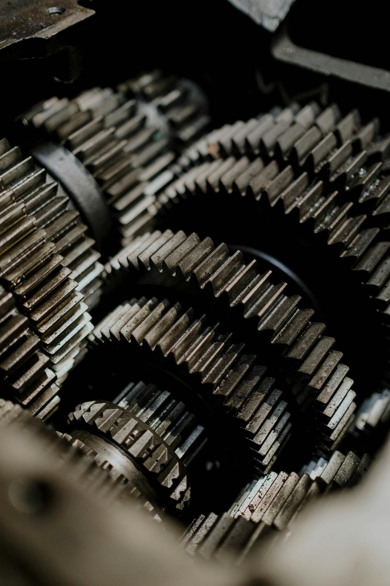Transmission gear assembly